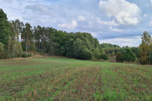 Działka na sprzedaż 1043m2 kościerski Liniewo Stary Wiec - zdjęcie 1