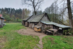 Działka na sprzedaż 1513m2 ostrowski Ostrów Mazowiecka Nowa Osuchowa - zdjęcie 3