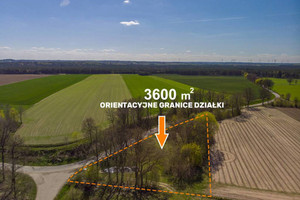 Działka na sprzedaż 3600m2 szczecinecki Grzmiąca Storkowo - zdjęcie 3