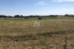 Działka na sprzedaż 1071m2 trzebnicki Zawonia Kałowice - zdjęcie 3