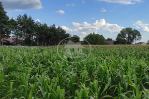 Działka na sprzedaż 1500m2 trzebnicki Trzebnica Ujeździec Mały - zdjęcie 3