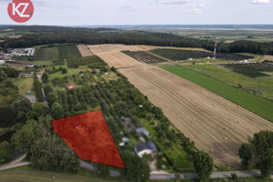 Działka na sprzedaż 3797m2 pilski Miasteczko Krajeńskie Brzostowo - zdjęcie 2