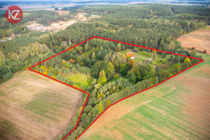 Komercyjne na sprzedaż 590m2 pilski Wysoka Wysoka Wielka - zdjęcie 2