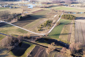 Działka na sprzedaż 9800m2 wyszkowski Długosiodło Grądy Szlacheckie - zdjęcie 3