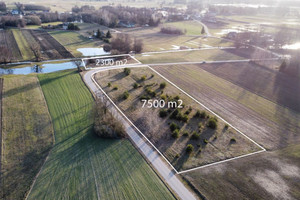 Działka na sprzedaż 9800m2 wyszkowski Długosiodło Grądy Szlacheckie - zdjęcie 1