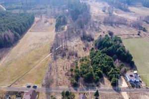 Działka na sprzedaż 14700m2 wyszkowski Brańszczyk Nowa Wieś - zdjęcie 3