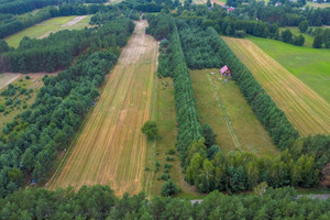 Działka na sprzedaż ostrołęcki Goworowo Michałowo - zdjęcie 3