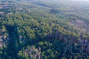 Działka na sprzedaż 36100m2 wyszkowski Wyszków Tumanek - zdjęcie 1