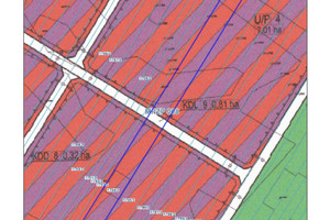 Działka na sprzedaż 12646m2 wyszkowski Brańszczyk Trzcianka - zdjęcie 2