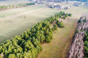 Działka na sprzedaż 15000m2 ostrowski Brok Laskowizna - zdjęcie 3