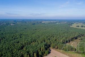 Działka na sprzedaż 36000m2 ostrołęcki Goworowo Michałowo - zdjęcie 1