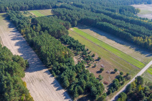 Działka na sprzedaż ostrołęcki Goworowo Michałowo - zdjęcie 3