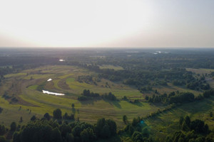 Działka na sprzedaż 80600m2 wyszkowski Długosiodło Grądy Szlacheckie - zdjęcie 3