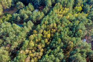 Działka na sprzedaż 972m2 wyszkowski Zabrodzie Basinów - zdjęcie 2