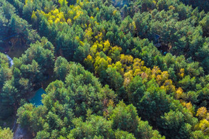 Działka na sprzedaż 972m2 wyszkowski Zabrodzie Basinów - zdjęcie 3