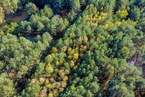 Działka na sprzedaż 972m2 wyszkowski Zabrodzie Basinów - zdjęcie 3