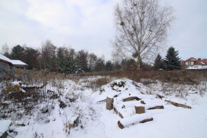 Działka na sprzedaż 1000m2 warszawski zachodni Leszno Zaborówek Zielona - zdjęcie 3