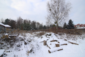 Działka na sprzedaż 1000m2 warszawski zachodni Leszno Zaborówek Zielona - zdjęcie 3