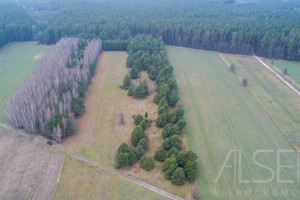 Działka na sprzedaż 15000m2 ostrowski Brok Laskowizna - zdjęcie 2