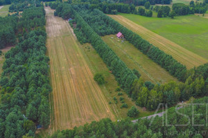 Działka na sprzedaż ostrołęcki Goworowo Michałowo - zdjęcie 2