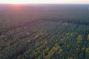 Działka na sprzedaż wyszkowski Brańszczyk Trzcianka - zdjęcie 1