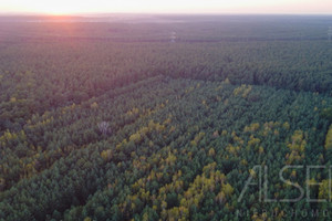 Działka na sprzedaż 25988m2 wyszkowski Brańszczyk Trzcianka - zdjęcie 1