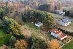 Działka na sprzedaż 5000m2 mikołowski Orzesze - zdjęcie 1