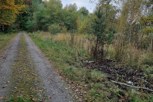 Działka na sprzedaż Ruda Śląska Halemba - zdjęcie 3