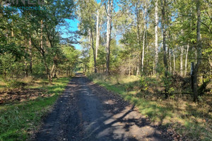 Działka na sprzedaż 21885m2 Ruda Śląska Halemba - zdjęcie 3