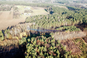 Działka na sprzedaż grodziski Żabia Wola Petrykozy Za Gajem - zdjęcie 2