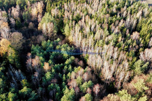 Działka na sprzedaż grodziski Żabia Wola Petrykozy Za Gajem - zdjęcie 1