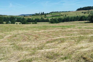 Działka na sprzedaż 1000m2 myślenicki Wiśniowa - zdjęcie 3