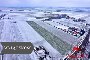 Działka na sprzedaż 23519m2 włocławski Kowal Gołaszewo - zdjęcie 1