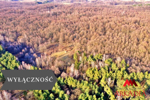 Działka na sprzedaż 3100m2 włocławski Włocławek Wistka Królewska - zdjęcie 1