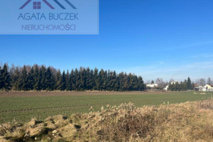 Działka na sprzedaż 35000m2 wrocławski Długołęka Budziwojowice - zdjęcie 3