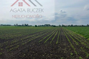 Działka na sprzedaż 8000m2 wrocławski Siechnice Żerniki Wrocławskie - zdjęcie 3