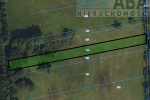 Działka na sprzedaż 12400m2 turecki Przykona Bądków Pierwszy - zdjęcie 3