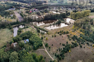 Działka na sprzedaż 7200m2 koniński Golina Golina-Kolonia - zdjęcie 2