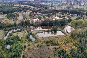 Działka na sprzedaż 7200m2 koniński Golina Golina-Kolonia - zdjęcie 3