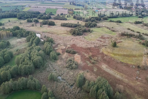 Działka na sprzedaż 9200m2 koniński Golina Myślibórz - zdjęcie 2