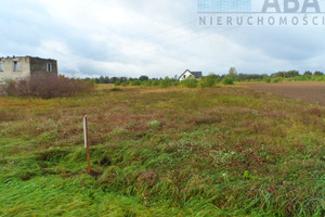 Działka na sprzedaż 4253m2 koniński Ślesin Stary Licheń - zdjęcie 2