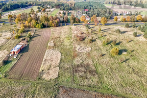 Działka na sprzedaż 2500m2 koniński Golina Golina-Kolonia - zdjęcie 2