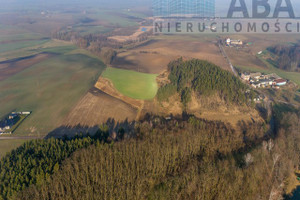 Działka na sprzedaż słupecki Orchowo Skubarczewo - zdjęcie 2