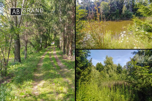 Działka na sprzedaż 36300m2 białostocki Turośń Kościelna Barszczówka - zdjęcie 1