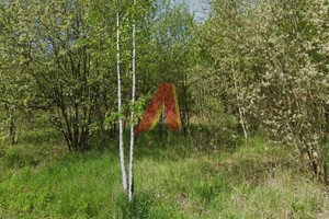 Działka na sprzedaż 1200m2 krakowski Zabierzów Zamłynie - zdjęcie 3