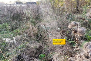 Działka na sprzedaż 10122m2 wołomiński Radzymin Słupno - zdjęcie 2