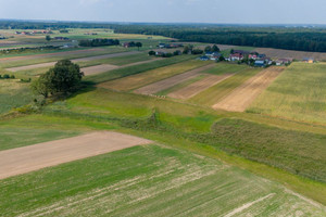 Działka na sprzedaż 6792m2 lubliniecki Ciasna Sieraków Śląski Wyzwolenia - zdjęcie 3