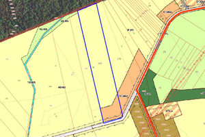 Działka na sprzedaż 29522m2 lubliniecki Woźniki Czarny Las Czarny Las - zdjęcie 3