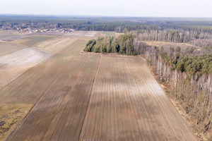 Działka na sprzedaż 33135m2 lubliniecki Herby Wiejska - zdjęcie 3