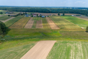 Działka na sprzedaż 6792m2 lubliniecki Ciasna Sieraków Śląski Wyzwolenia - zdjęcie 2